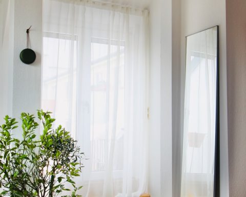 green potted plant near white window curtain