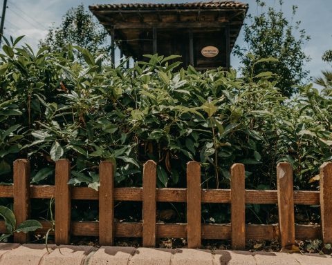 A lush garden with a wooden fence and dense foliage in Trabzon, Turkey.