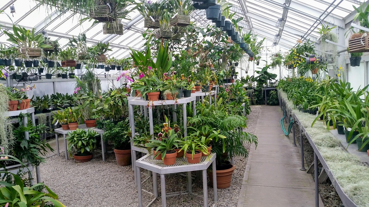 Een moderne glazen serre aangebouwd aan een huis met uitzicht op de tuin
