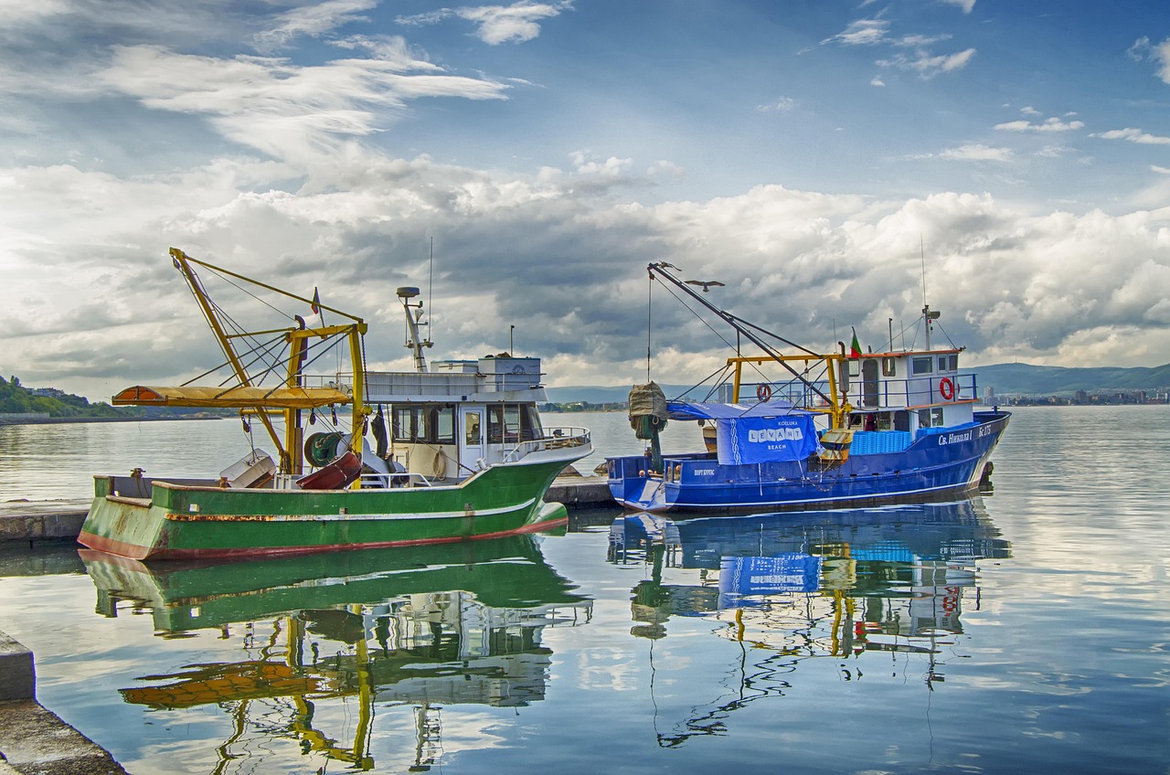 Kleurrijke huizen langs de haven van een klein Nederlands visserdorp