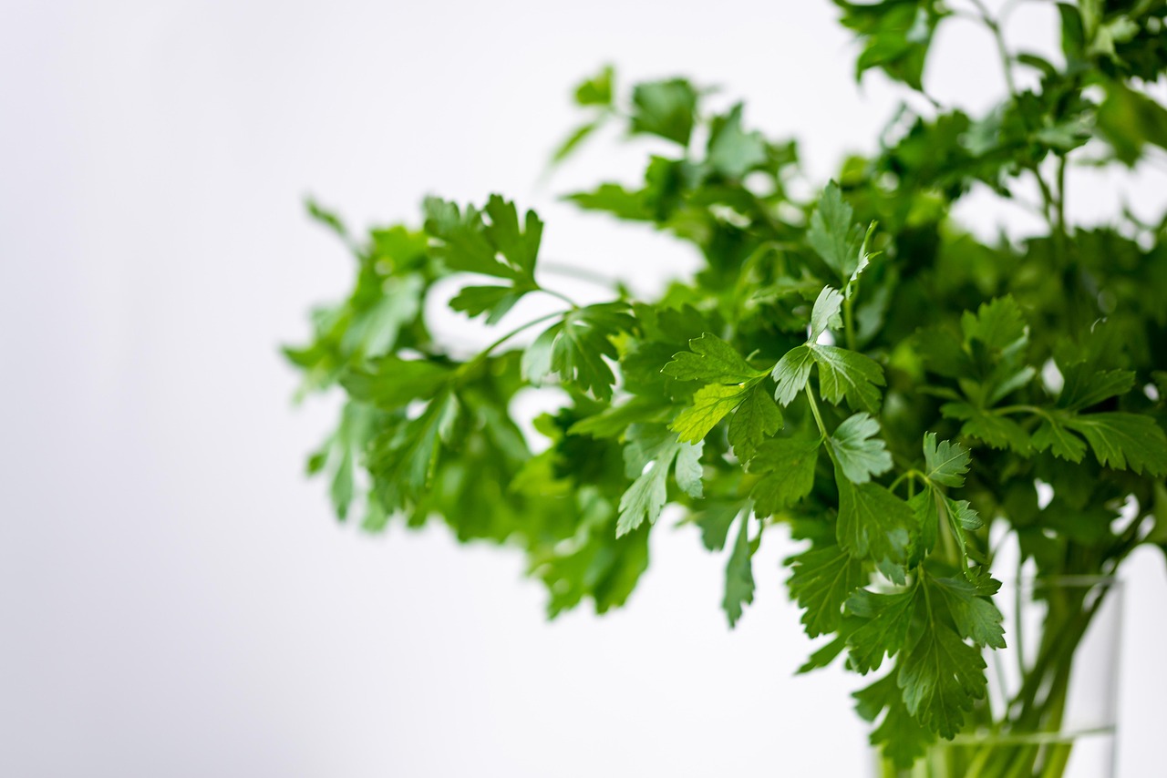 Stekken van tuinplanten in een glas water op een vensterbank